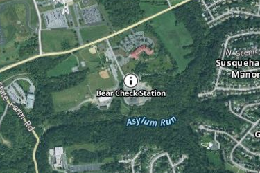  PA Bear Check Stations Preview