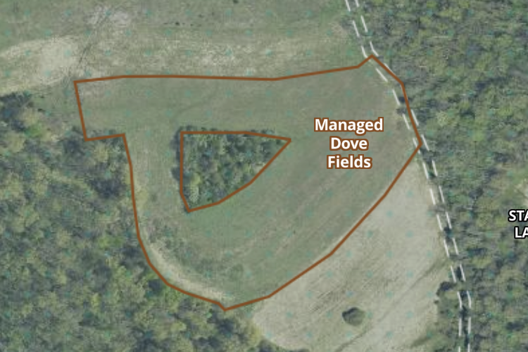 Managed Dove Fields Preview